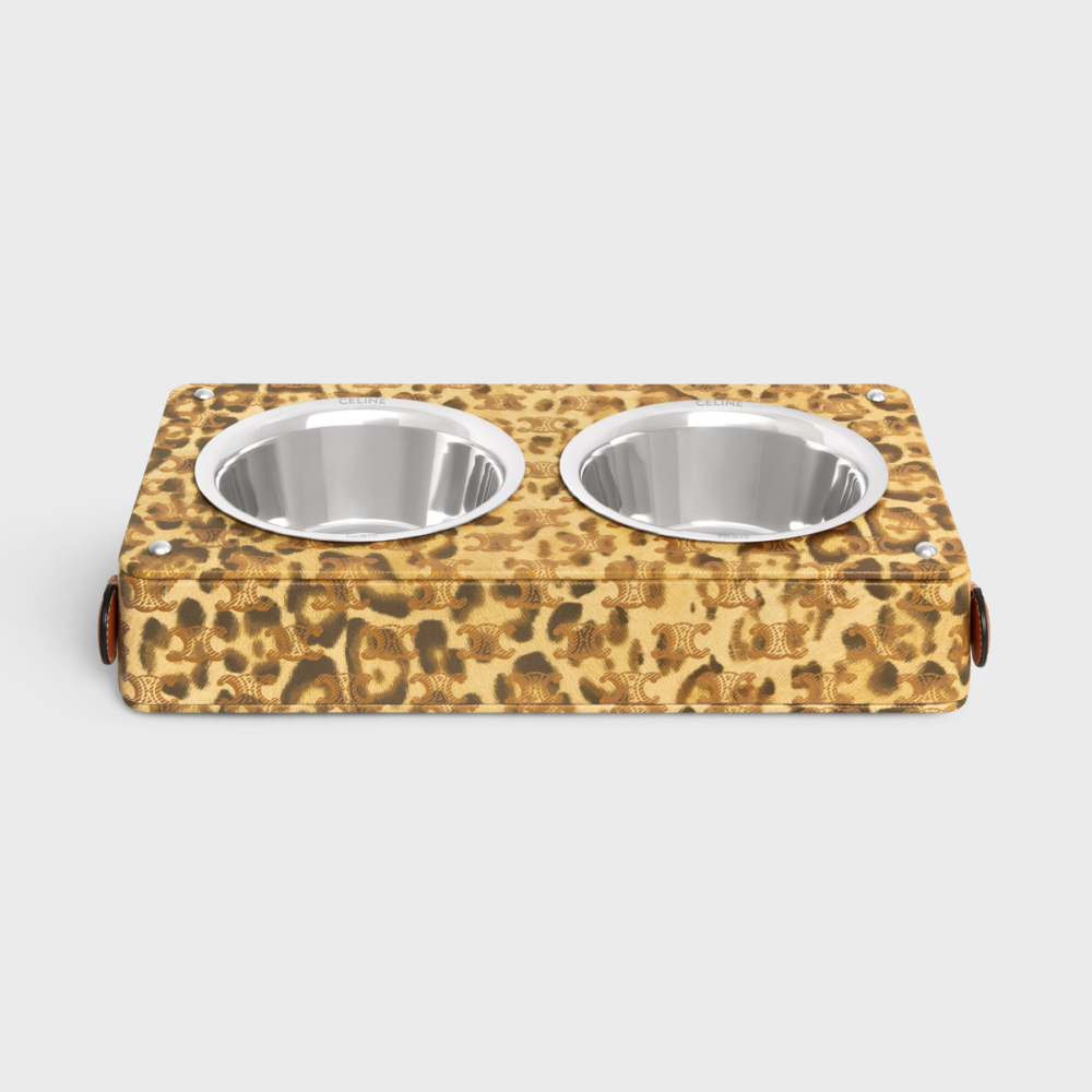 Dog Bowl