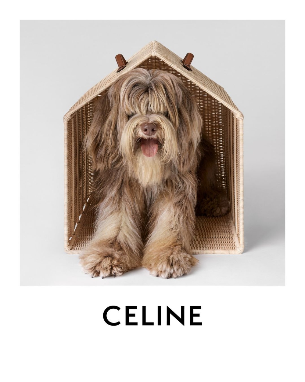 打造俏皮又時尚的風格。