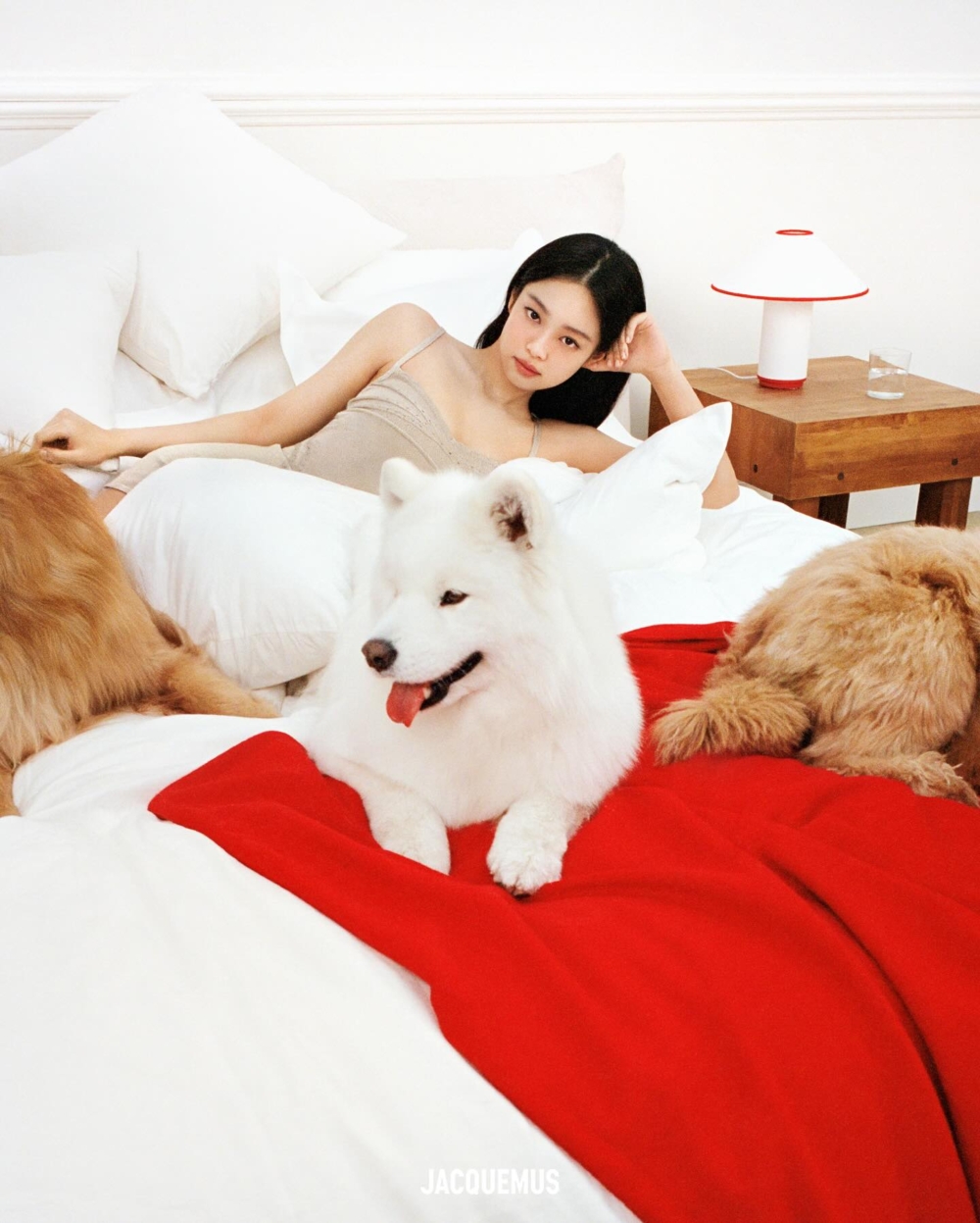Jennie斜倚在床上與狗狗一同入鏡