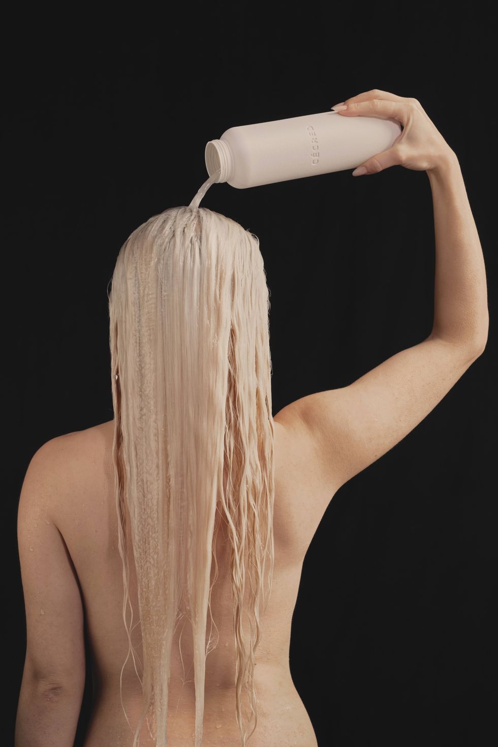 柯木林(Kua Bak Lim) 博客: 百年辛亥南洋回眸(第一部份), image size:980x1470