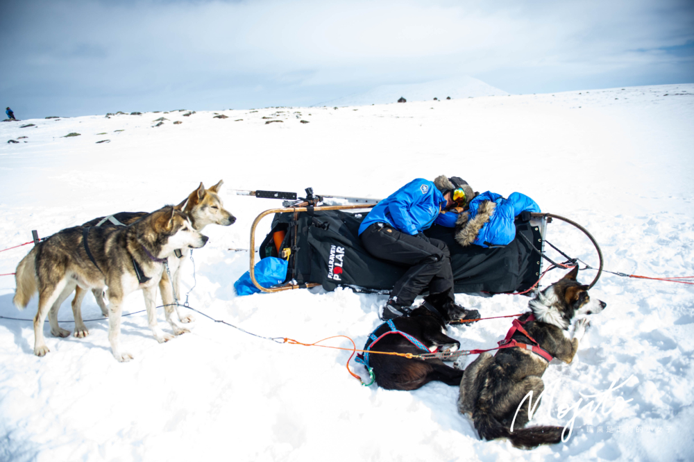 前往北極體驗極地生活。