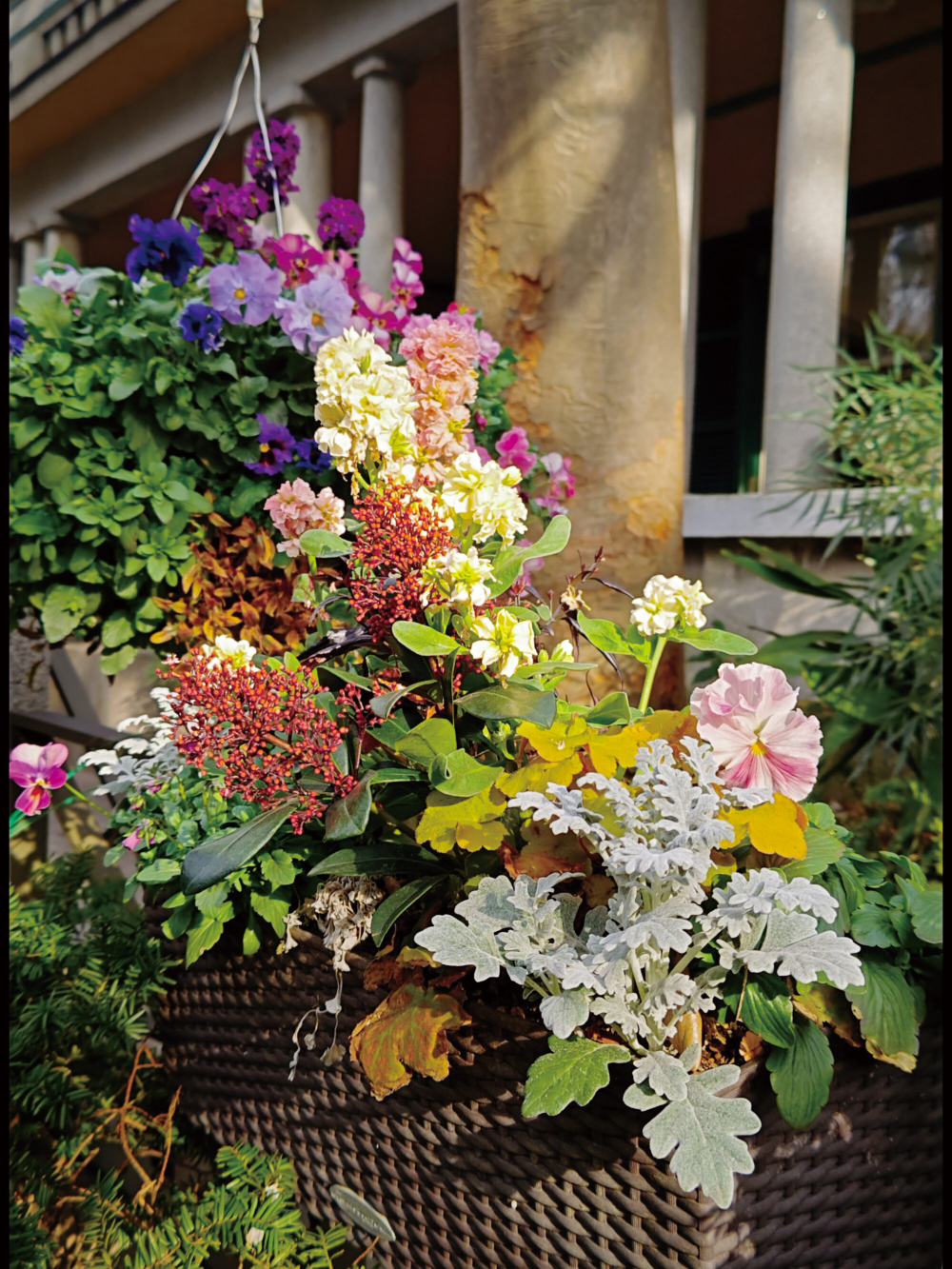 Leitz Phone 3還增加了另外兩種色調