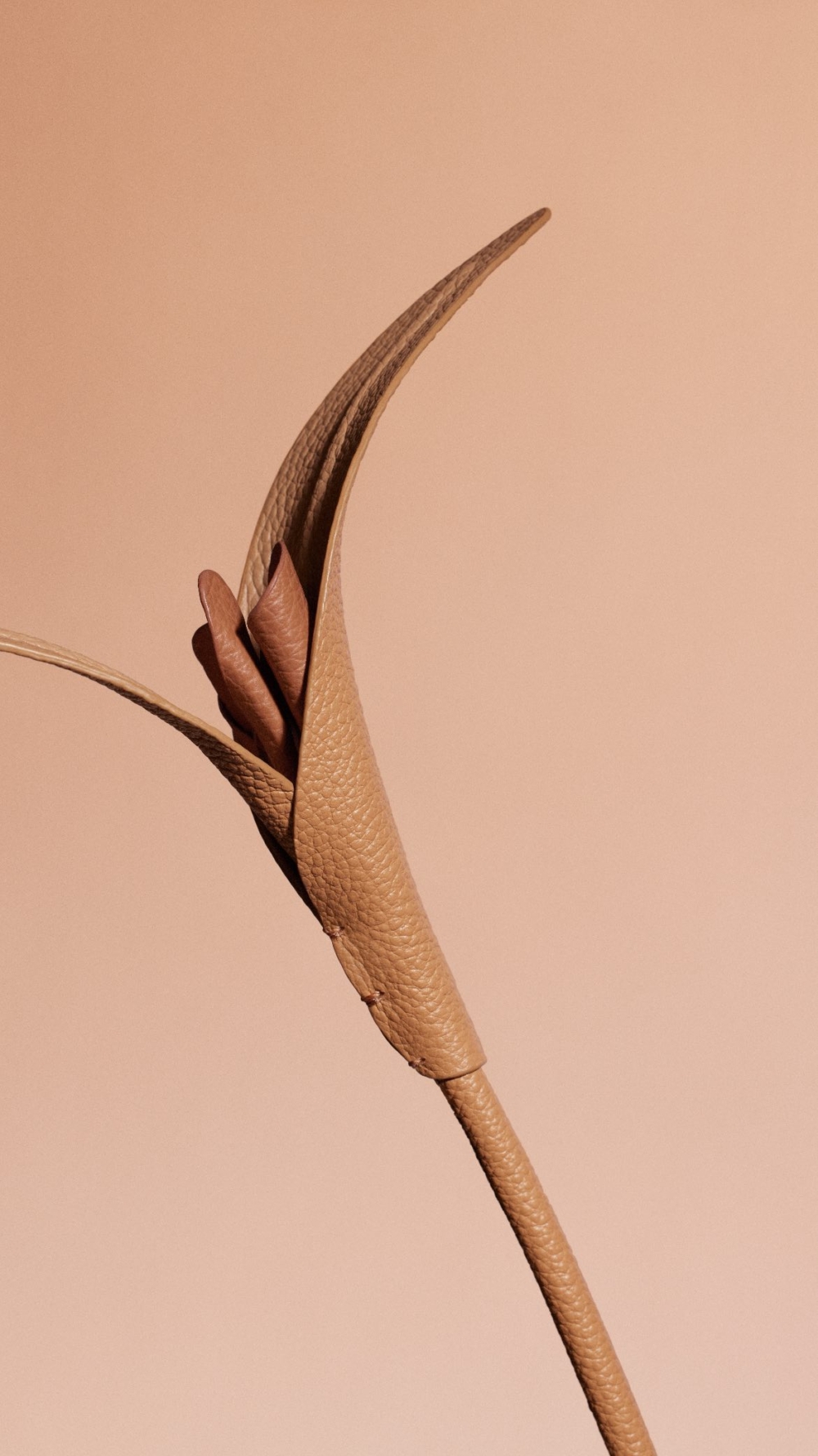 絕對為大家挑選禮物的好選擇