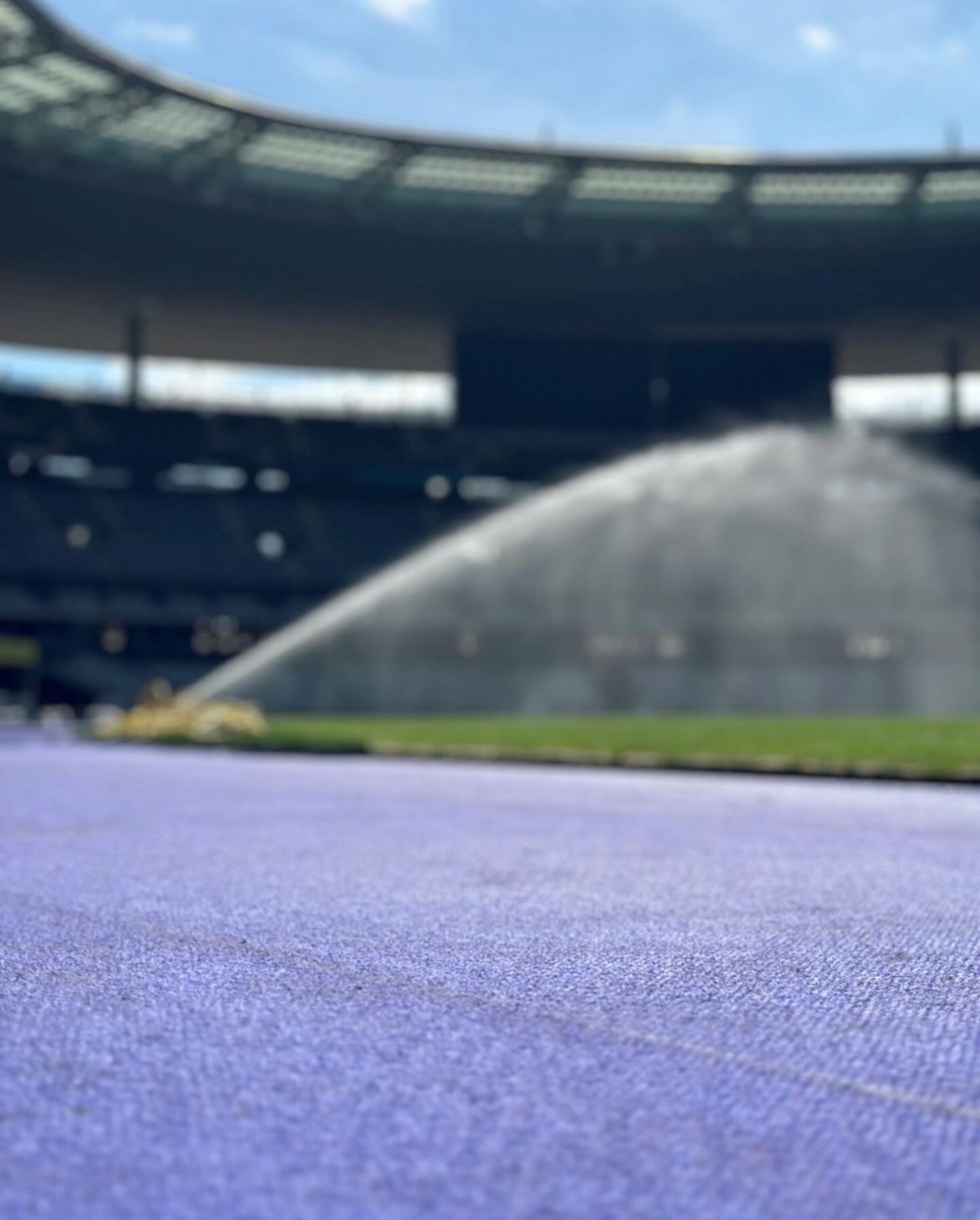 全新的薰衣草紫色鋪設工作已完成