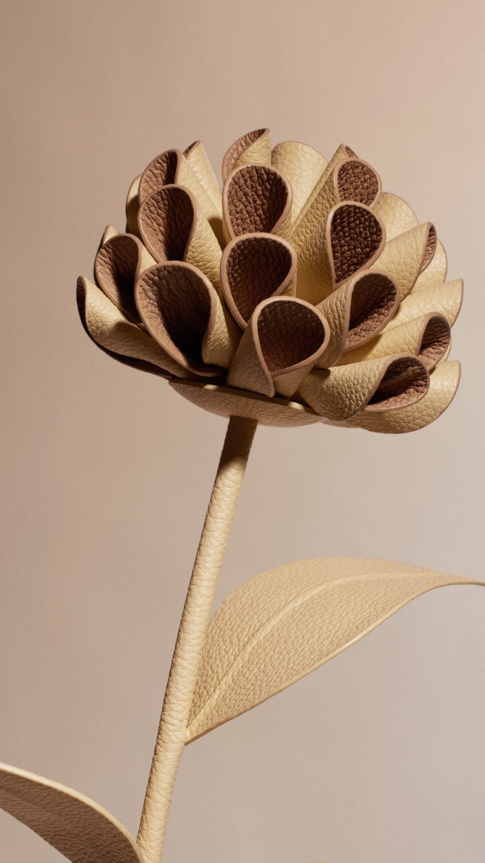 包含了粉筆白色光滑牛皮、燕麥色光滑牛皮、乾燥玫瑰色和淺棕色