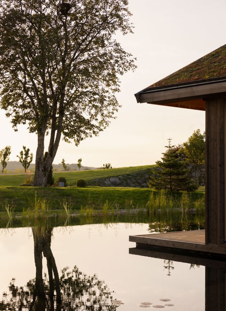 模糊了內部和外部空間之間的界限。