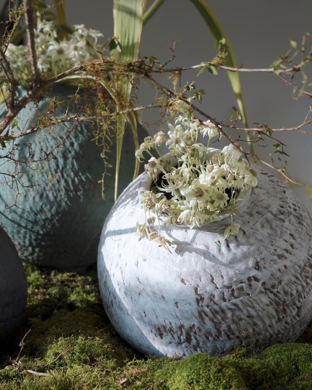 陶器看起來更加生意盎然，充滿生命力