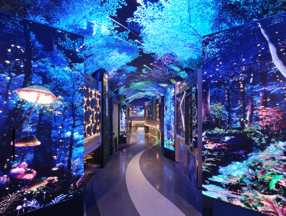 「極光道」，使用長150公尺、高25公尺的大型LED覆蓋天花板和牆壁