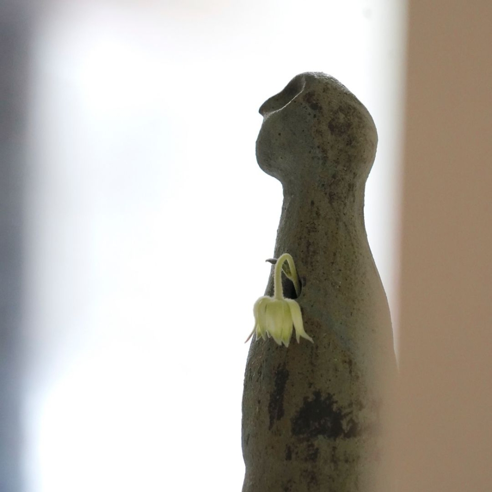 相較完美的陶器，林嘉欣更愛用手捏陶