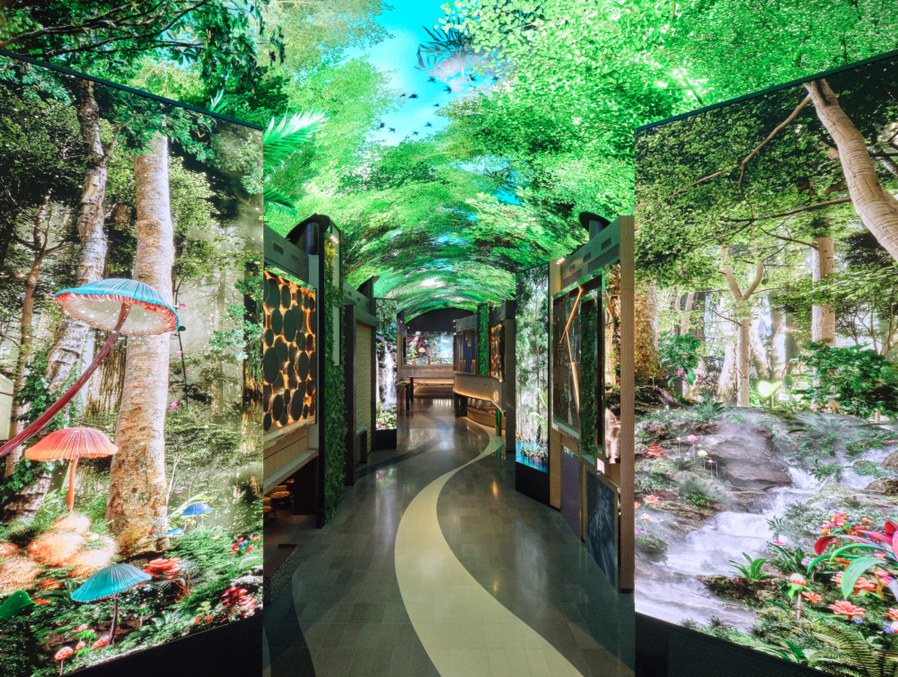 「極光道」營造身歷其境的場景