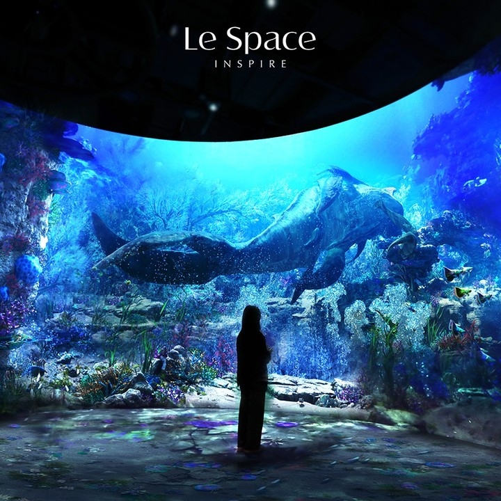 《Le Space》是韓國最大的光影沉浸數位藝術展