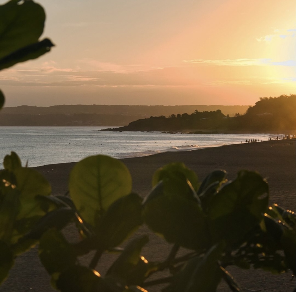 每一間嘉佩樂酒店和度假村皆融合了當地的文化、歷史與環境。 