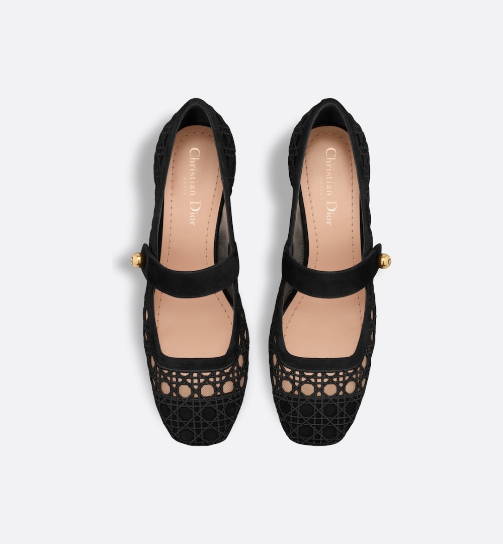 Dior Icon 高跟鞋