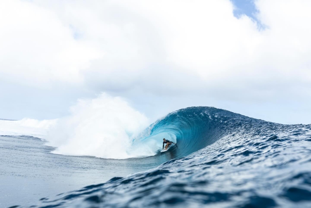 跟踪衝浪者的動作，在海浪逼近時就位，並潛入海面