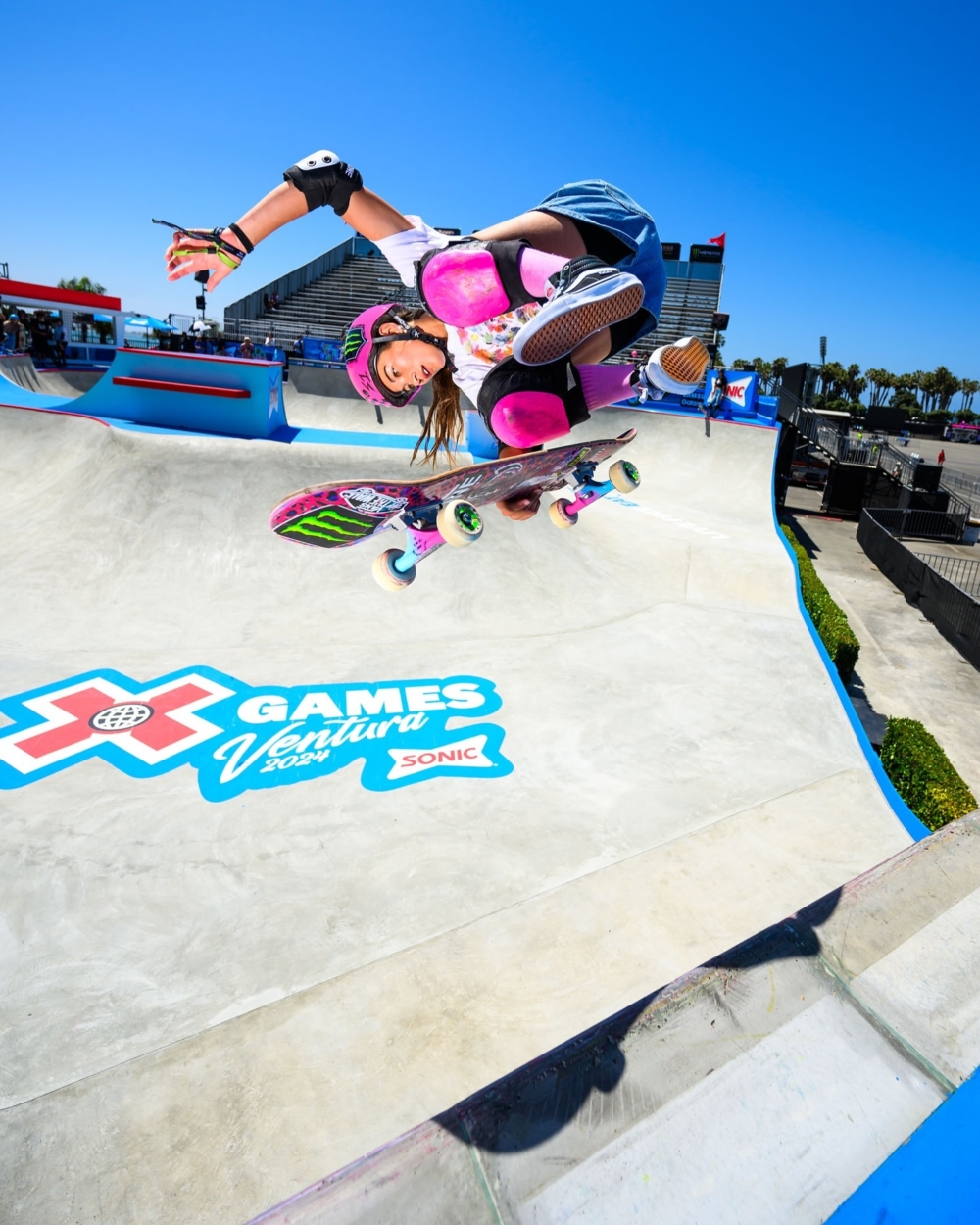 收穫滑板傳奇Tony Hawk高度讚賞