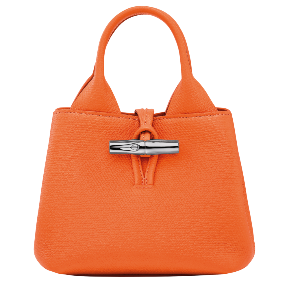Le Roseau XS Handbag橙色。