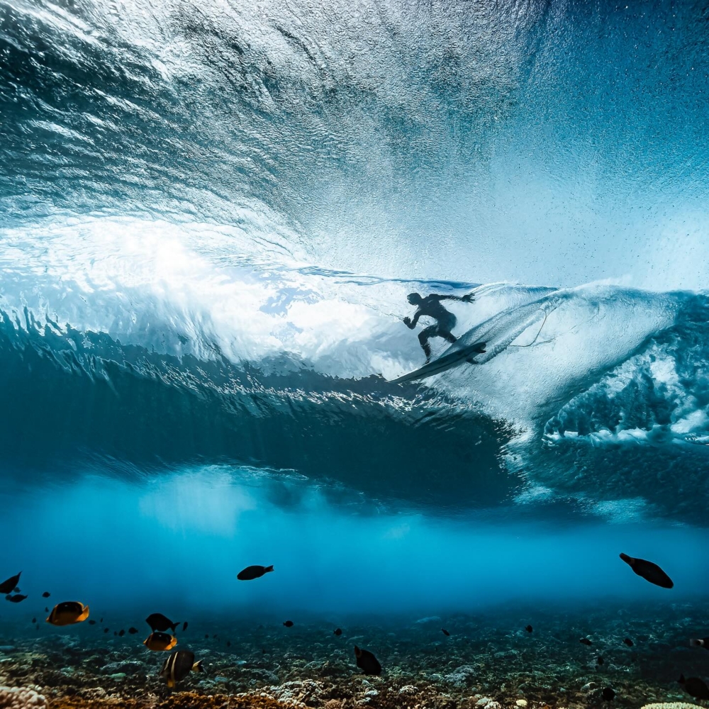 全球唯一一位獲准水下攝影資格的攝影師Benjamin Thouard