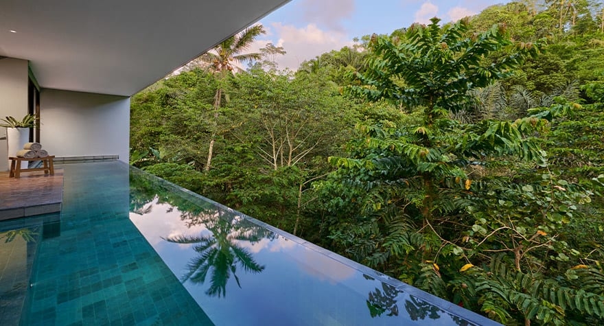 懸浮於雨林上方的私人無邊際泳池