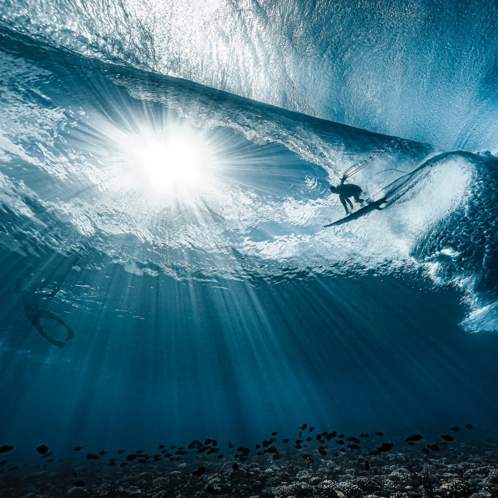 沉浸在海洋和攝影的世界中