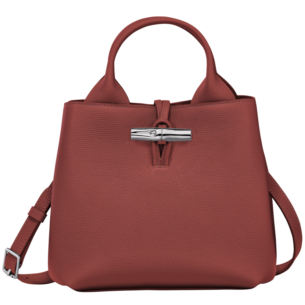 Le Roseau XS Handbag栗子色。