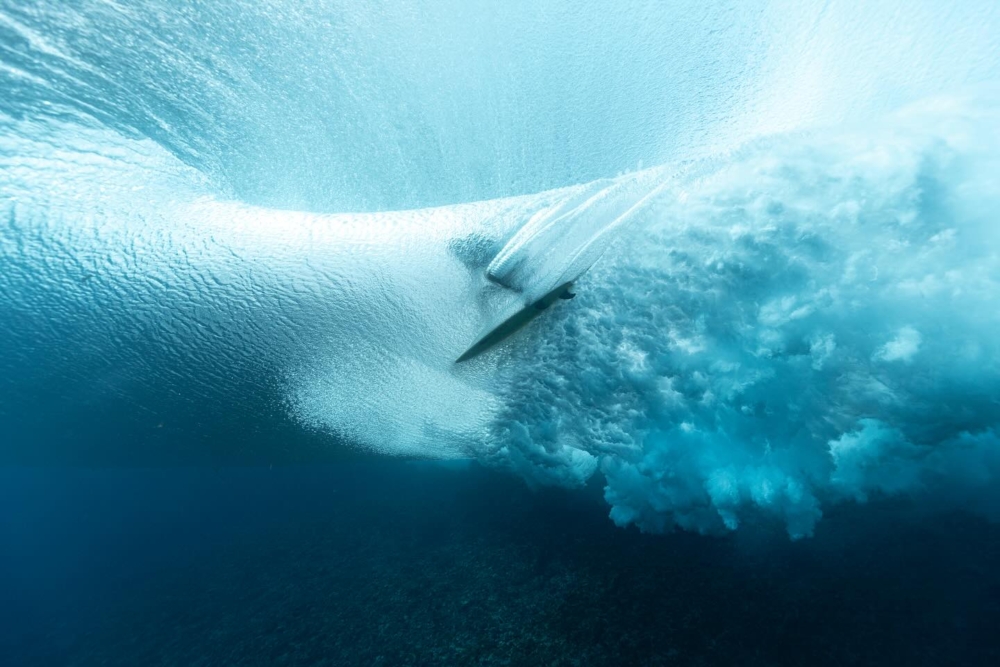 跟踪衝浪者的動作，在海浪逼近時就位，並潛入海面