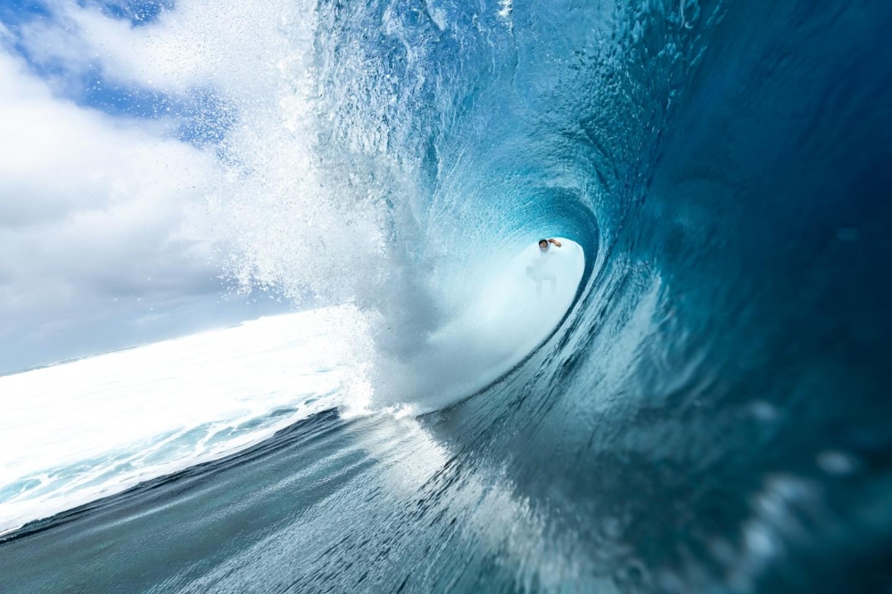 跟踪衝浪者的動作，在海浪逼近時就位，並潛入海面