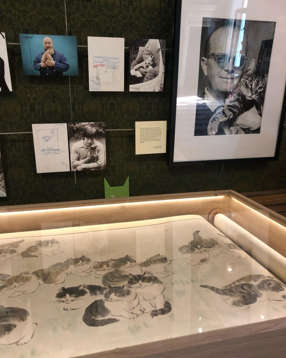愛貓人士可以在博物館中獲得極大的療癒空間