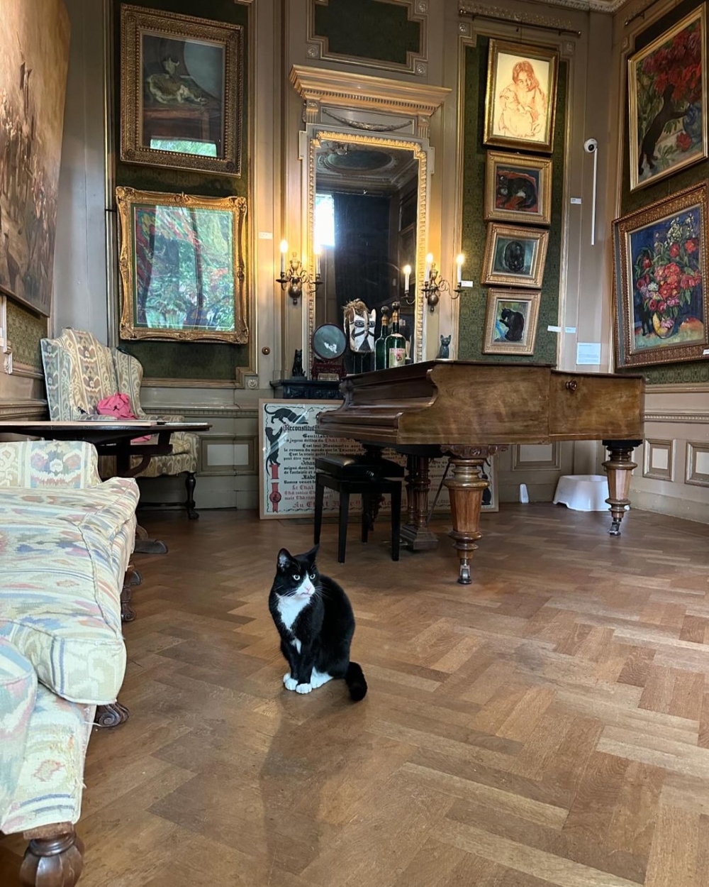 館內擺放的用品、裝飾也都是貓咪