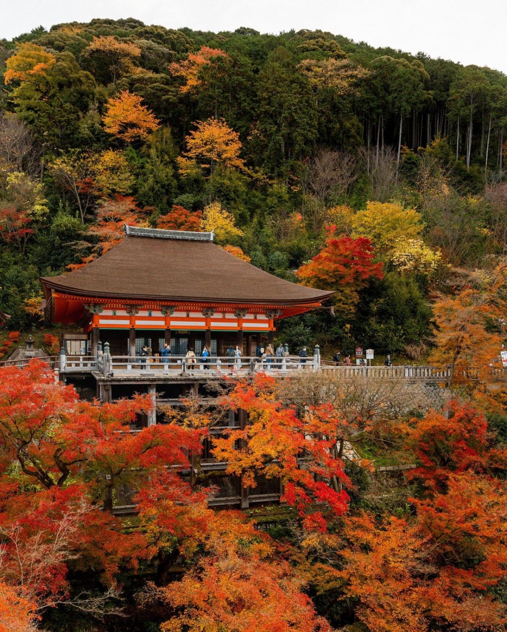 輕鬆就能抵達清水寺