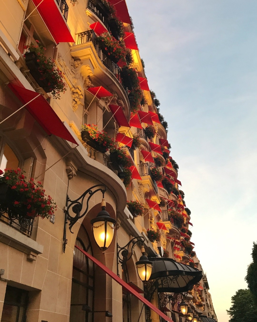 Hôtel Plaza Athénée陽台上總是種滿紅色天竺葵