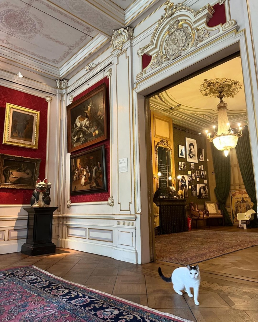 Bob為了紀念離世的愛貓Morgan，打造一棟貓咪博物館