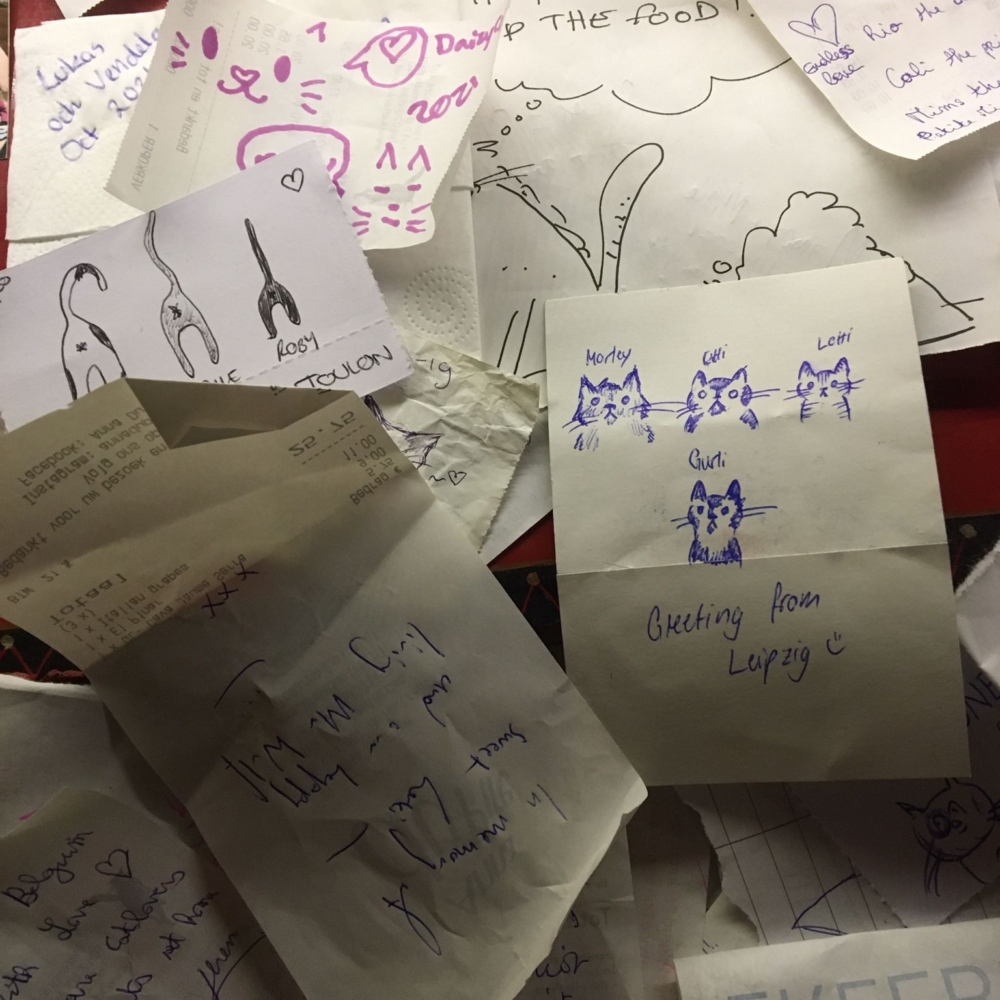 貓奴們可以拿起紙筆寫下想對愛貓說的話