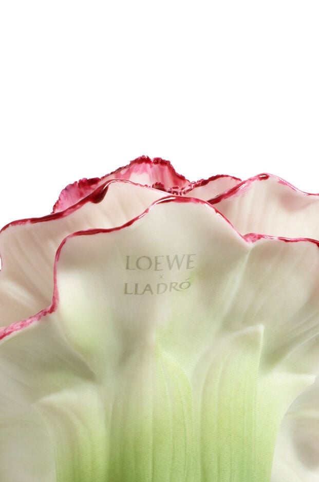 LOEWE Earth × Lladró