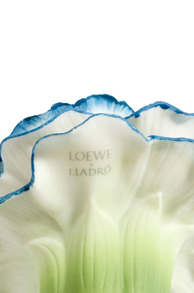 LOEWE Agua Drop × Lladró