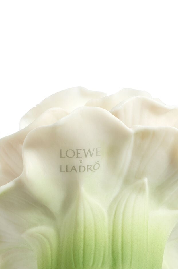 LOEWE 001 Woman × Lladró