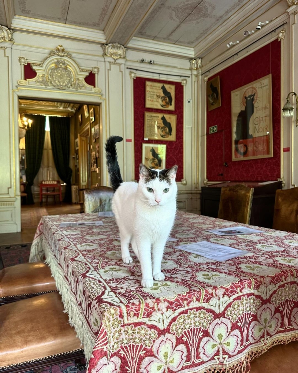 Bob買下這棟建築物後進行了修復，不過還是保留了19世紀的歐洲古典風情