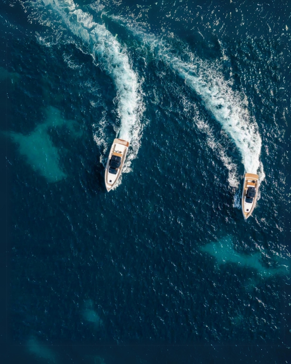 度假村也提供一系列與自然相關的活動