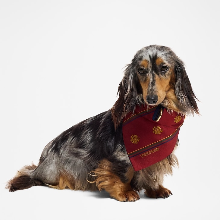 狗圍巾PM，HK$2,700／狗圍巾MM，HK$2,900