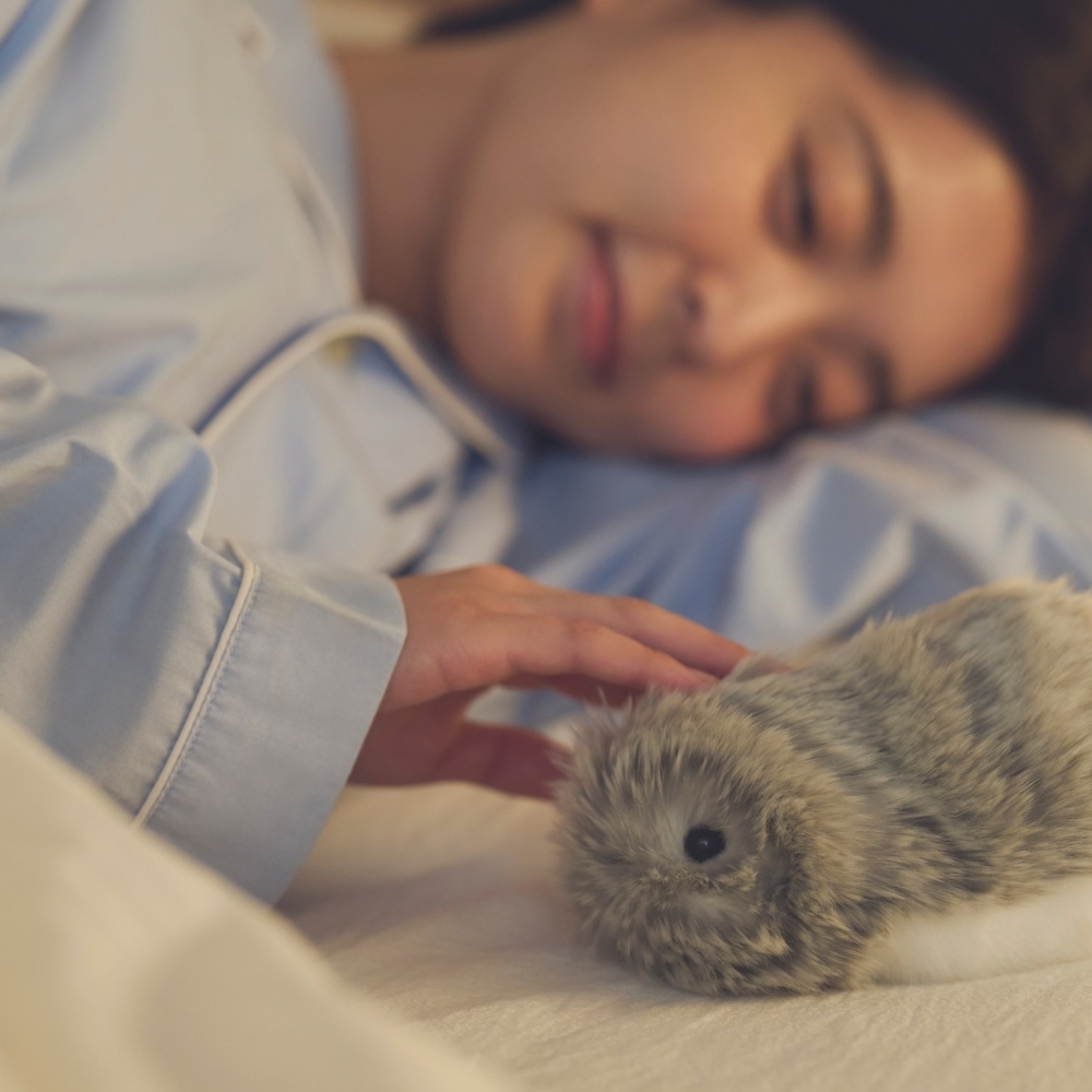 Moflin能夠根據與主人的互動頻率、撫摸的方式等逐漸識別出誰是「家人」