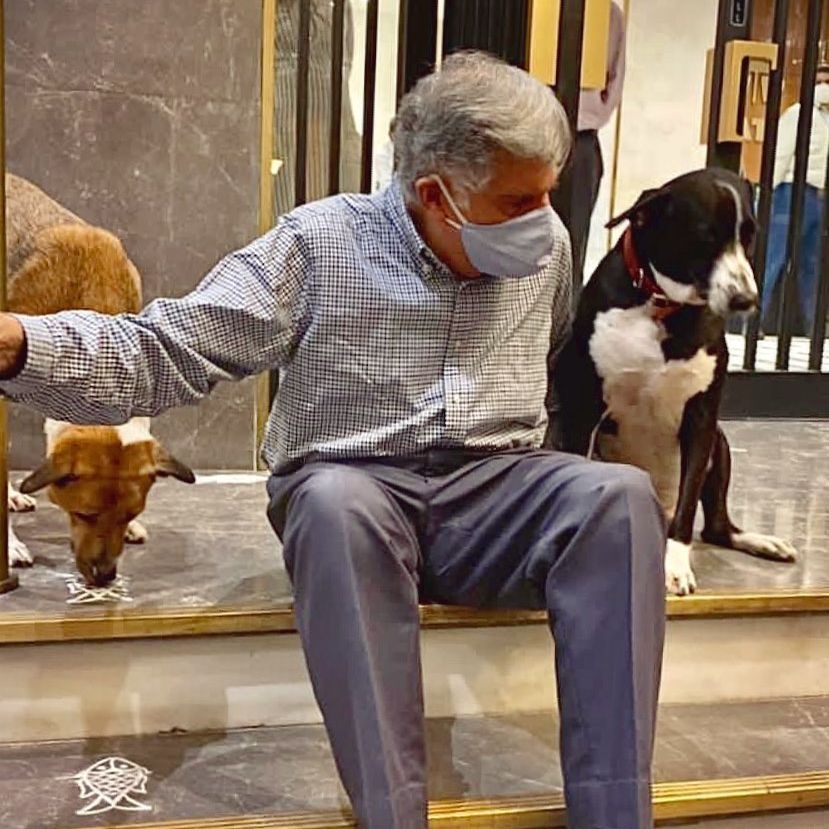 Ratan在遺囑中指出,希望助理們可以提供愛犬無限的照顧