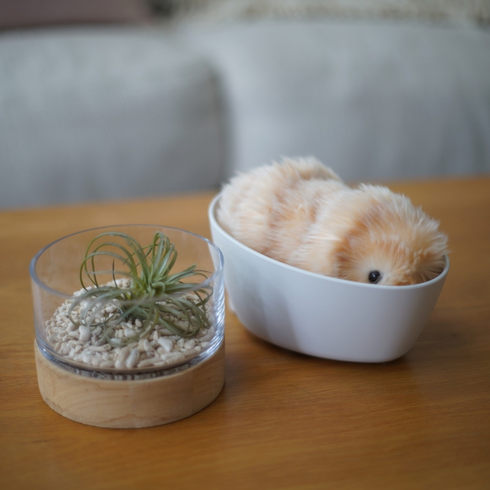 Moflin能通過不同的聲音和肢體動作來表達情感