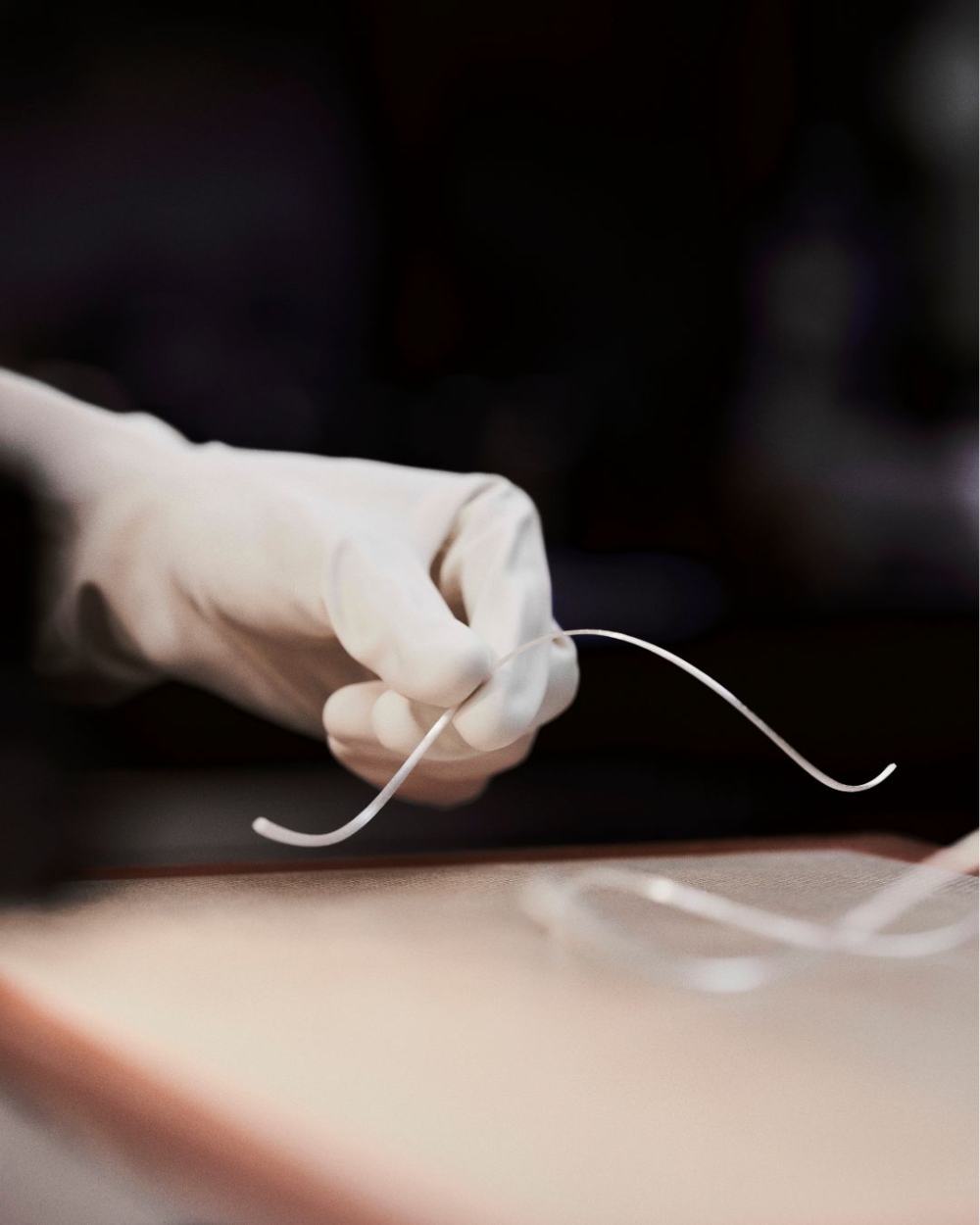 Dior聖誕蛋糕Buche de Noel