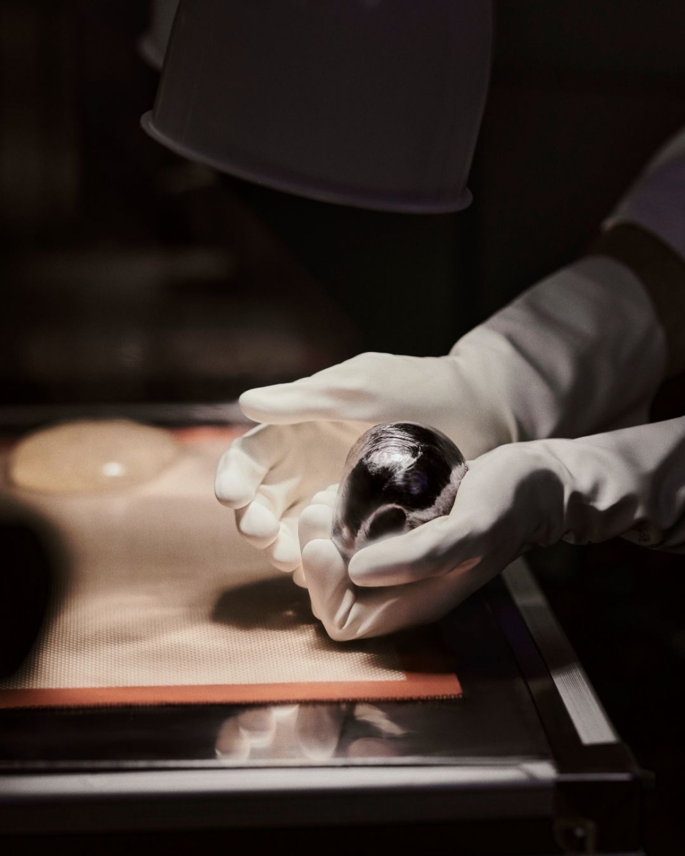 Dior聖誕蛋糕Buche de Noel