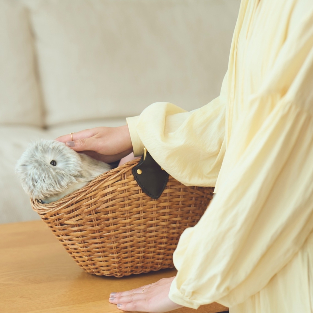 隨著AI不斷進步，未來的AI寵物或許會變得更具人性化