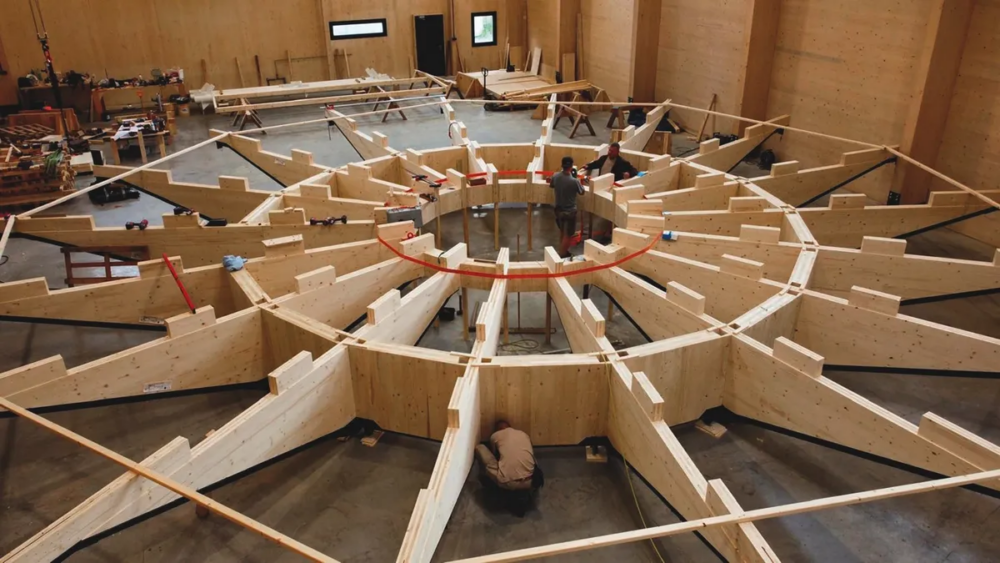建築作品更以 CLT(交叉層壓木材)板材作為主要支撐。
