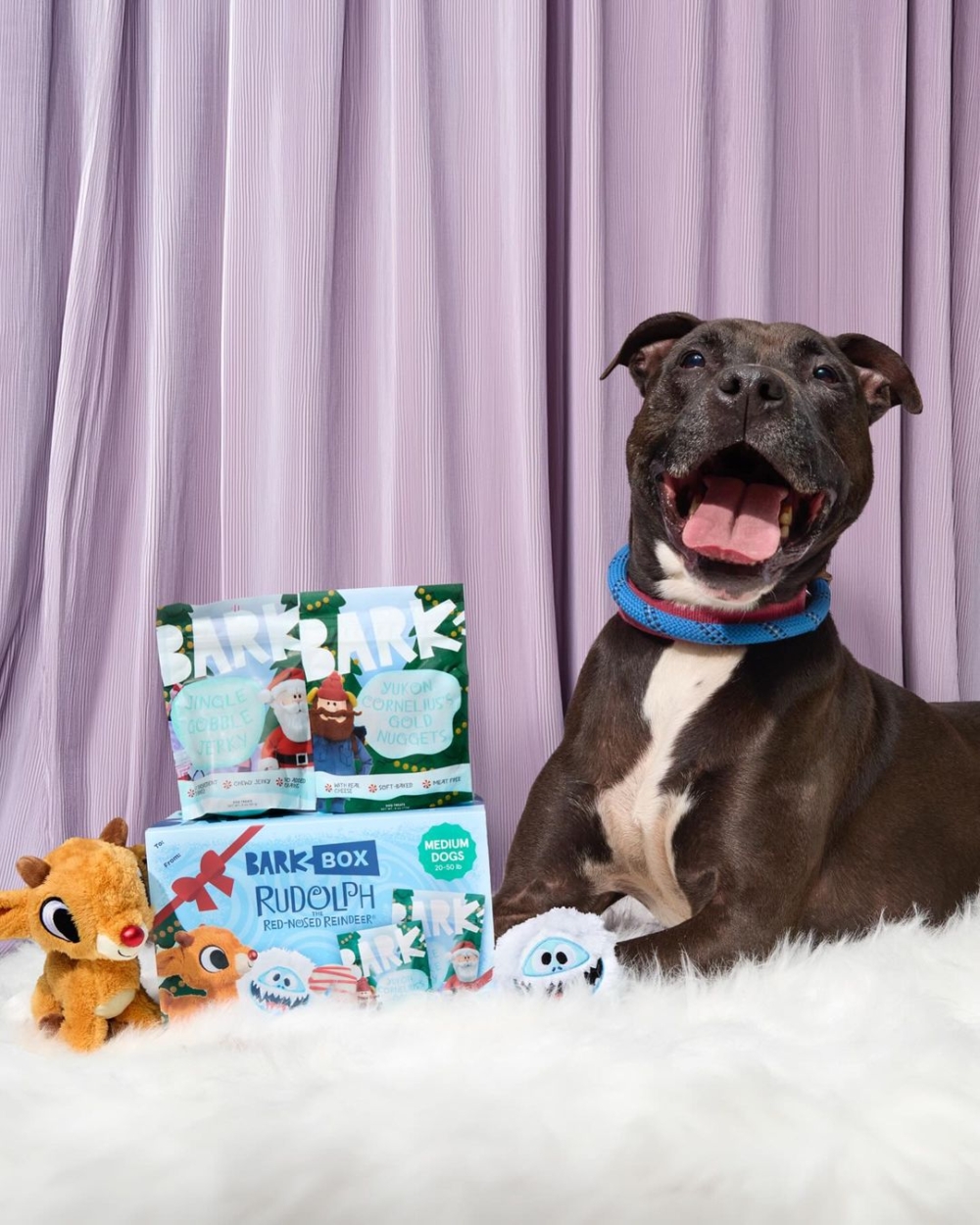 BarkBox是一間來自紐約的寵物用品公司，主打客製化的每月「訂閱盒」