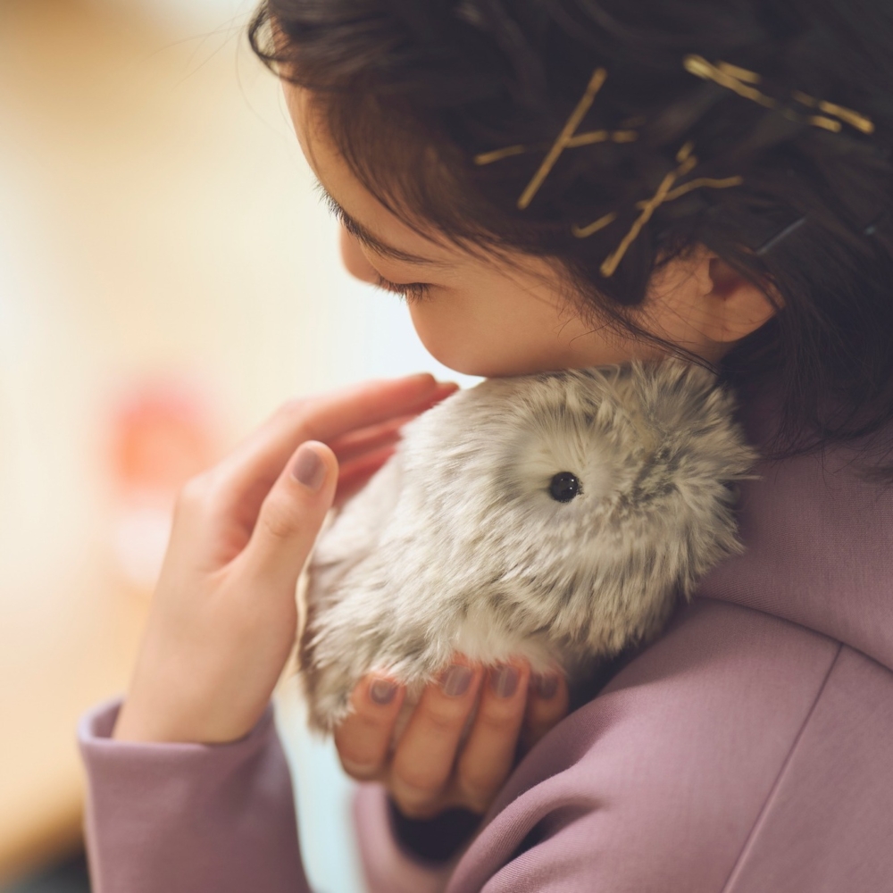 Moflin能夠認識並記住與其互動最多的主人