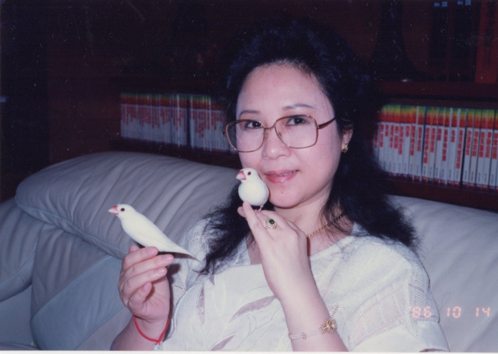 我是「火花」，我己盡力燃燒過