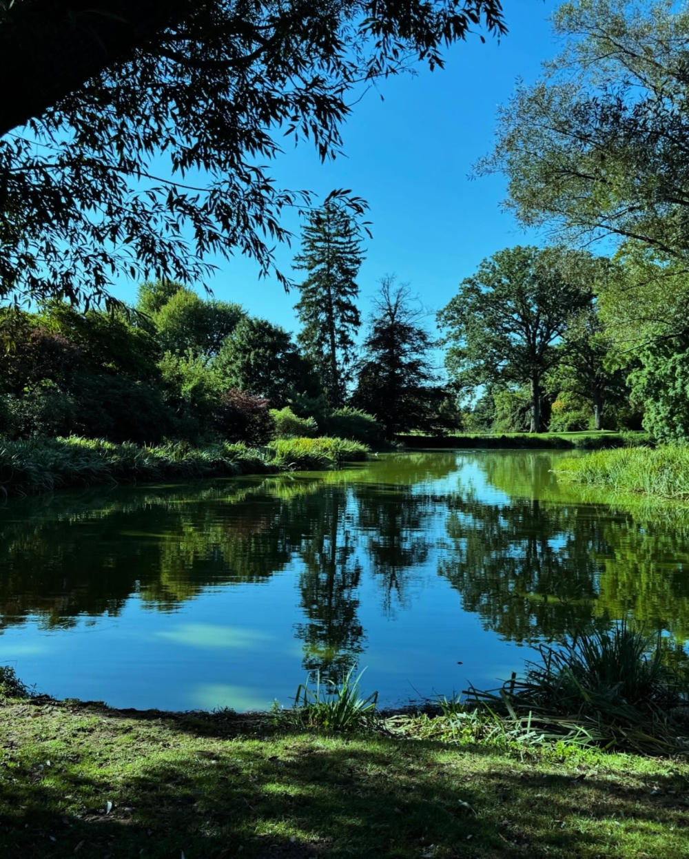 開放公眾參觀奢華宅邸