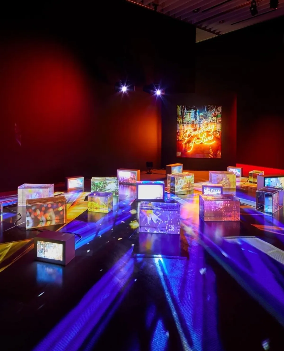 「生命的氣息」表現生命光彩